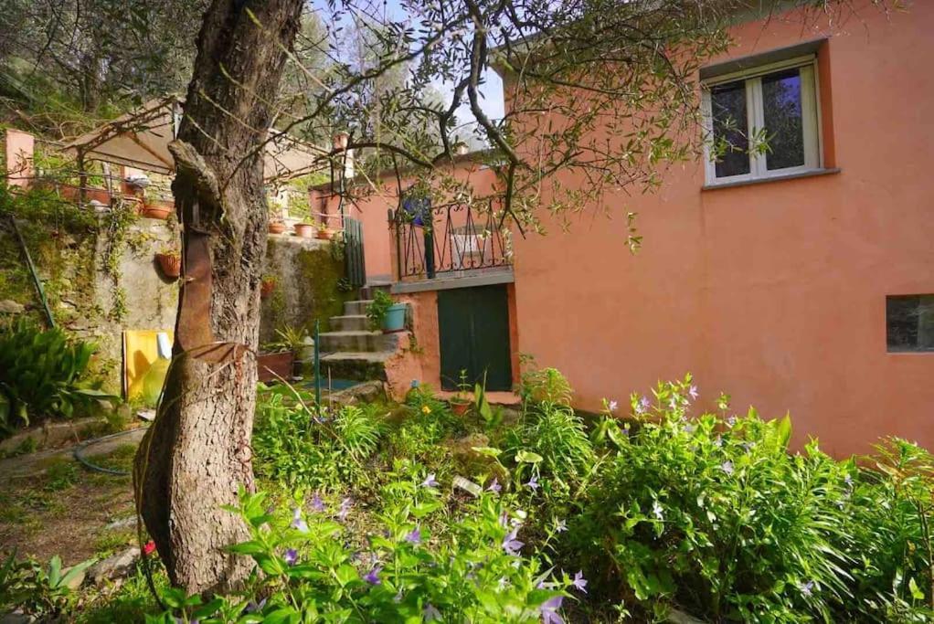 La Gaiada Villa มอนเตรอสโซ อัล มาเร ภายนอก รูปภาพ