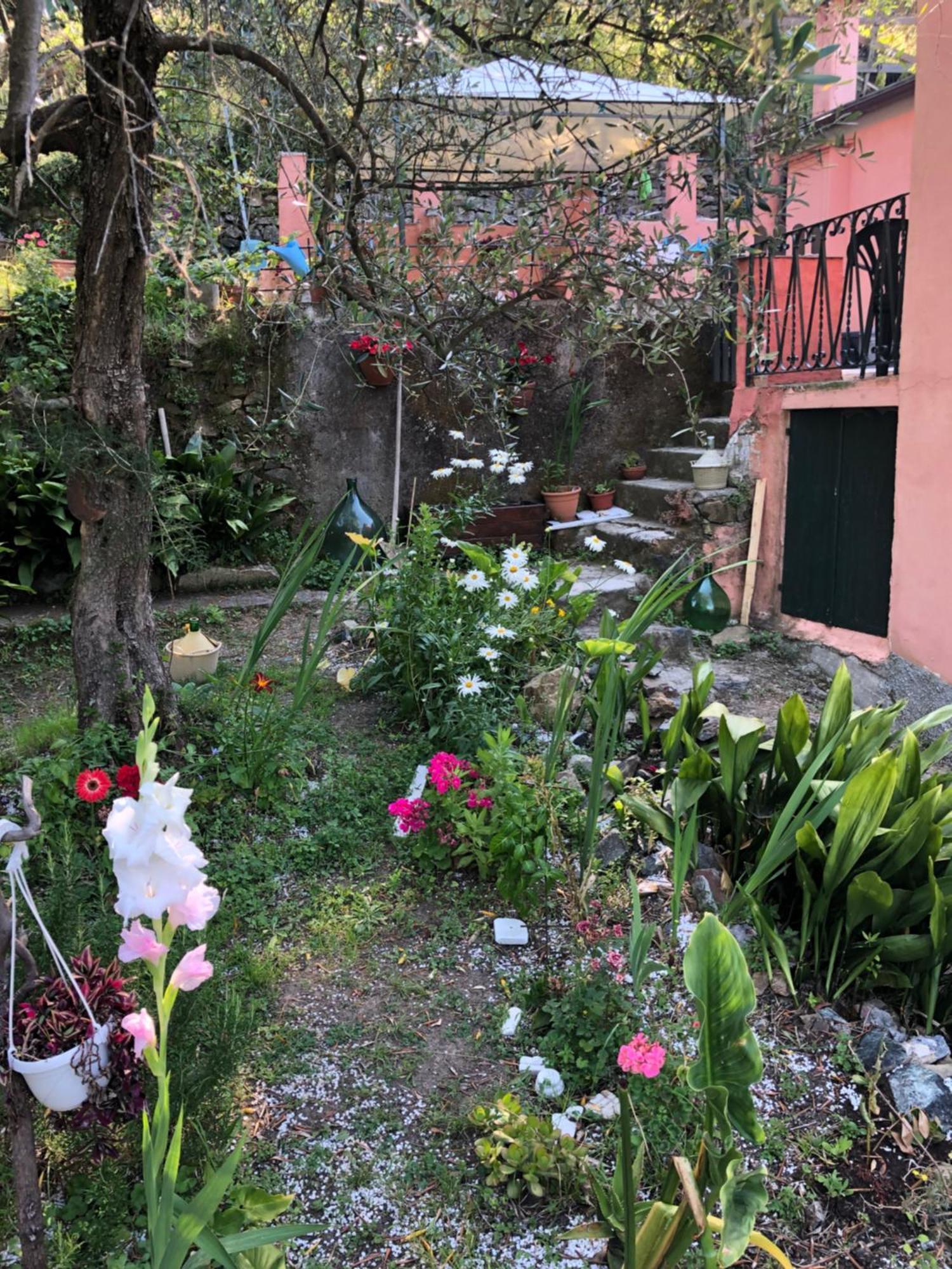La Gaiada Villa มอนเตรอสโซ อัล มาเร ภายนอก รูปภาพ